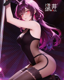Drywell - C20 Anime Bodystocking - Black photo