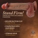 Renaissance - Raphael Sliding Skin Dildo 24cm - Tan photo-8