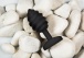 New twists of pleasure
Gplug Twist size 3.9 cm (1.54 in&... Fun Toys - Gplug Twist - Mystic Noir photo-2