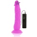 Diversia - Flexible Vibro Dildo 21cm - Purple photo-2