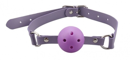 MT - 奴隶训练束缚套装 - 紫色 照片