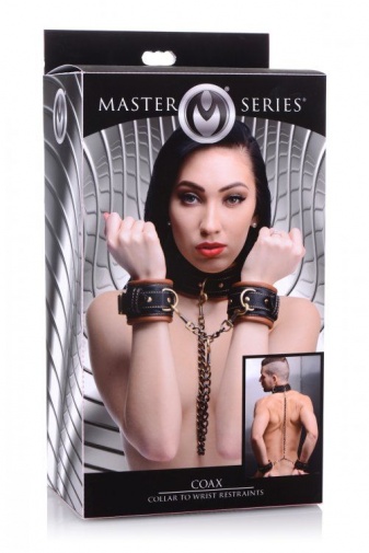 Master Series - Coax 頸圈連手銬 - 啡色 照片