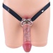 FAAK - Chastity Harness w Dildo S photo-4