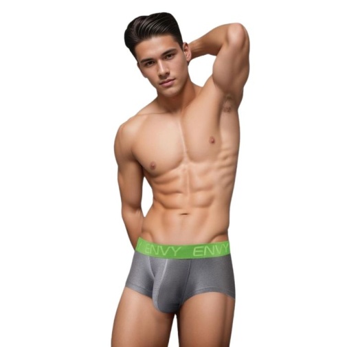 Envy - Sexy Slinky Trunk - Grey - S/M photo