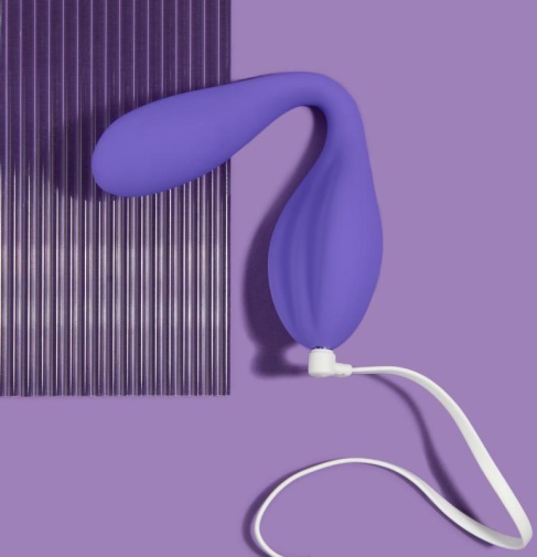 Wellness - Duo Vibrator - Purple photo