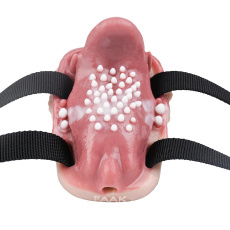 FAAK - Predator Vibro Grinder 照片