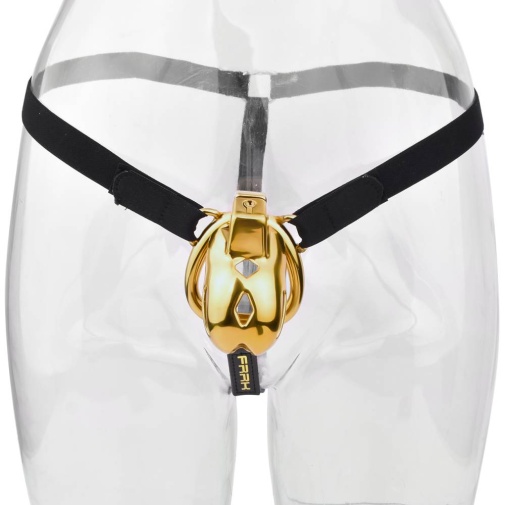 FAAK - Chastity Cage 184 w Belt & Plug - Gold 照片