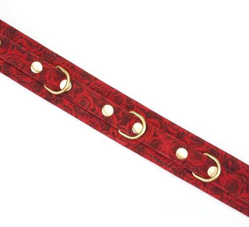 Liebe Seele - Rosy Lamb Leather Collar w Leash - Red photo