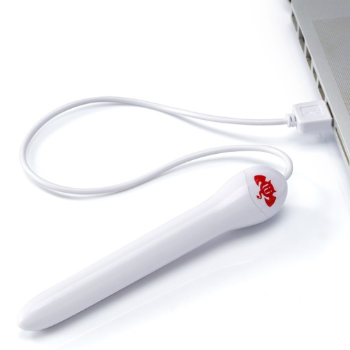 FAAK - Heating Rod 照片