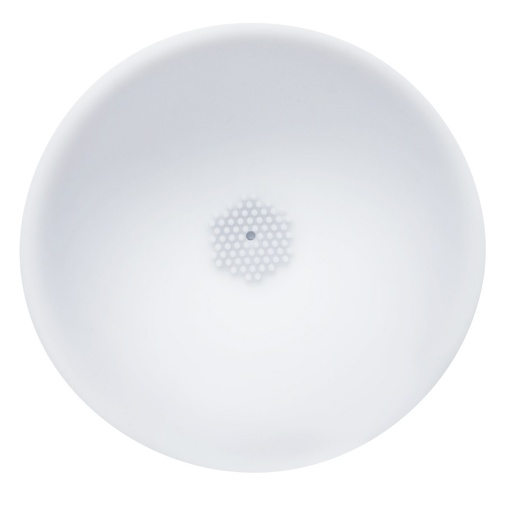 NPG - Bakyuma Attachment Bust photo