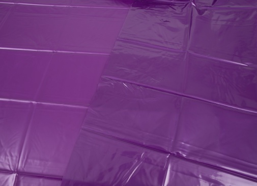 FC - 聚乙烯防水床单 - 紫色 照片
