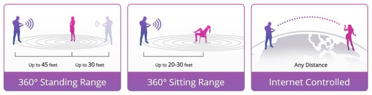 Lovense - Ferri - Wearable Panty Vibrator photo