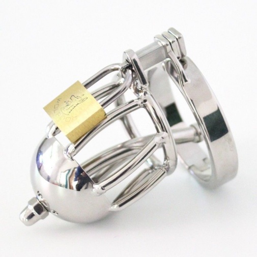 XFBDSM - Chastity Belt Bondage Fetish photo