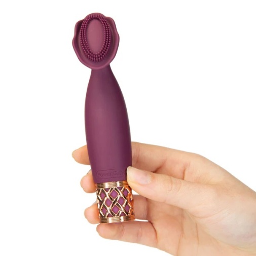 Pillow Talk - Secrets Passion Massager - Purple photo