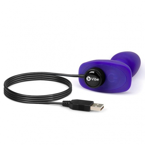 B-Vibe - 小型旋轉後庭塞 - 紫色 照片