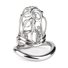 FAAK - Metal Chastity Cage w Urethral Sound  photo