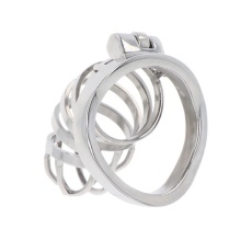 Hidden Desire - Metal Chastity Cage  照片