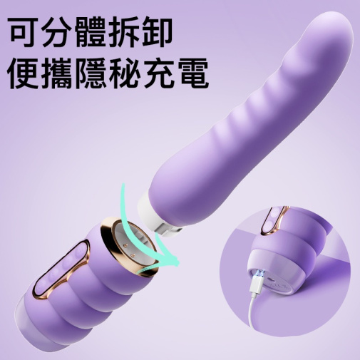 Erocome - Fornax 抽插式震动器 - 紫色 照片
