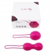 Nomi Tang - IntiMate Kegel Exercise Balls - Red Violet photo-15