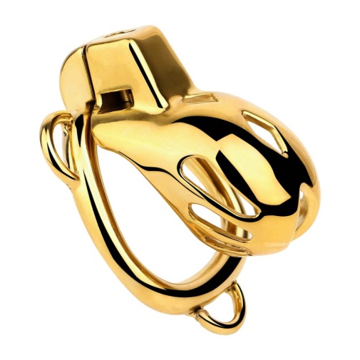 FAAK - Chastity Cage 184 w Belt & Plug - Gold 照片