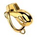 FAAK - Chastity Cage 184 w Belt & Plug - Gold 照片-8