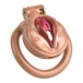 FAAK - Pussy Resin Chastity Cage 45mm - Flesh photo