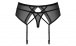 Obsessive - 855-GAR-1 Garter Belt & Thong - Black - L/XL photo-8