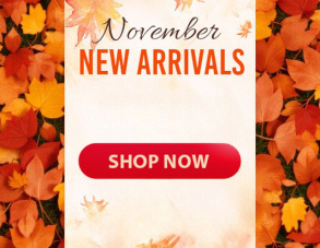 November Must-Try Toys: Free Gifts and Bundles Await!