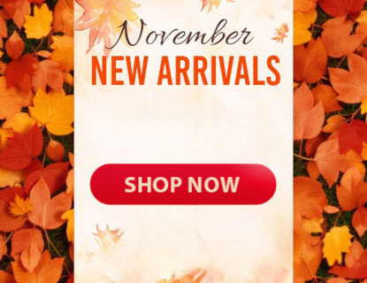 November Must-Try Toys: Free Gifts and Bundles Await!