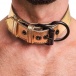 Lovetoy - Metallic Collar w Leash - Gold photo-2