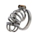 Hidden Desire - Metal Chastity Cage  照片