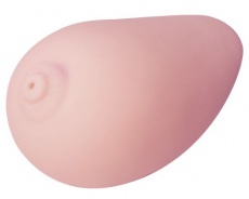 A-One - Chichikan 乳姦自慰器 照片