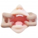 KMP - 3D Scanned Kizuna Sakura's Mouth photo-3