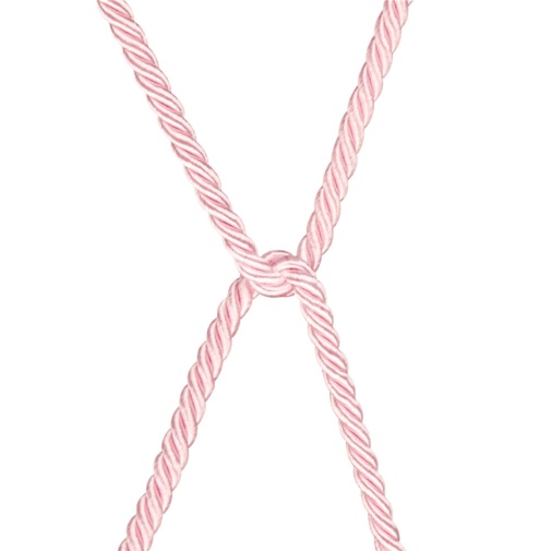 Lovetoy - Rebellion Reign Silky Bondage Rope 10m - Pink photo