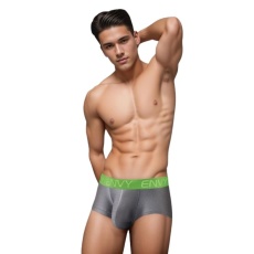 Envy - Sexy Slinky Trunk - Grey - L/XL photo