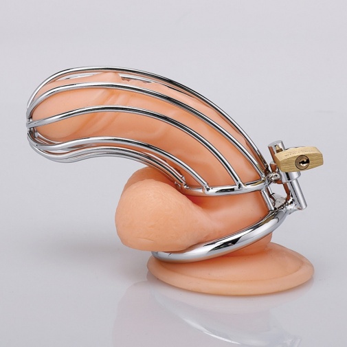 XX-Dreamstoys - Banana Metal Cock Cage photo