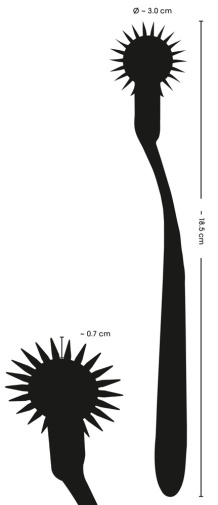 FC - Single Pinwheel - Silver 照片