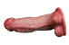 FAAK - Leo Double Layer Dildo - Flesh 照片-8