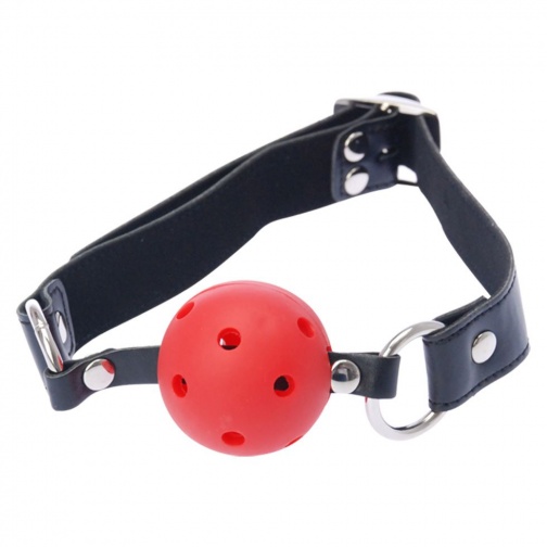 SM Art - Joint 003 Gag with Red Ball - Black photo