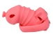FAAK - Long Resin Chastity Cage - Red 照片-5