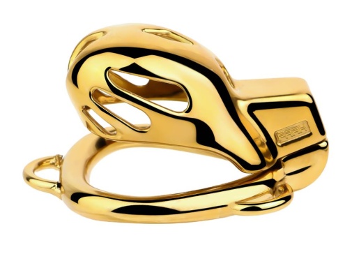 FAAK - Chastity Cage 184 w Belt & Plug - Gold 照片