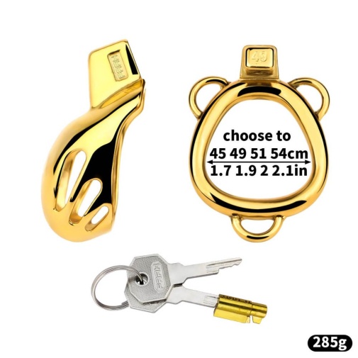 FAAK - Chastity Cage 184 w Belt & Plug - Gold 照片