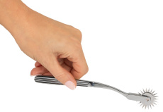 FC - Single Pinwheel - Silver photo