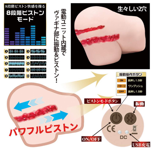 NPG - Tanaka Lemon 2 Hole Vibro Masturbator 6kg 照片
