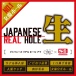 EXE - Koyoi Konan Japanese Real Hole Masturbator 照片-4