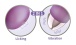 Nasstoys - Intense Licking Dual Massager - Lavender photo-3