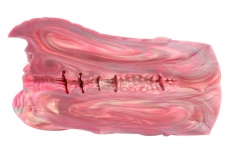 FAAK - 沙蟲自慰器 - 粉紅色 照片