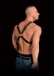 Ouch - Adonis Chest Harness - Black photo-2