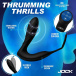 Jock - Shockwave E-Stim Anal Plug w Ring - Black 照片-3