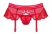 Obsessive - 853-GAR-3 Garter Belt & Thong - Red - L/XL photo-7